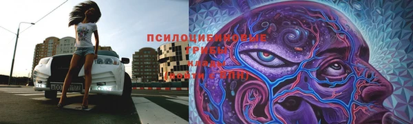 бутират Богданович